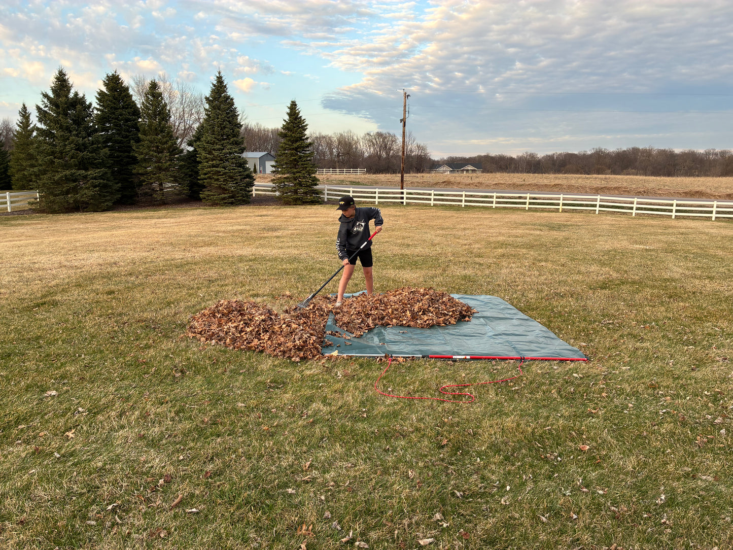 Leaf Thief with Tarp