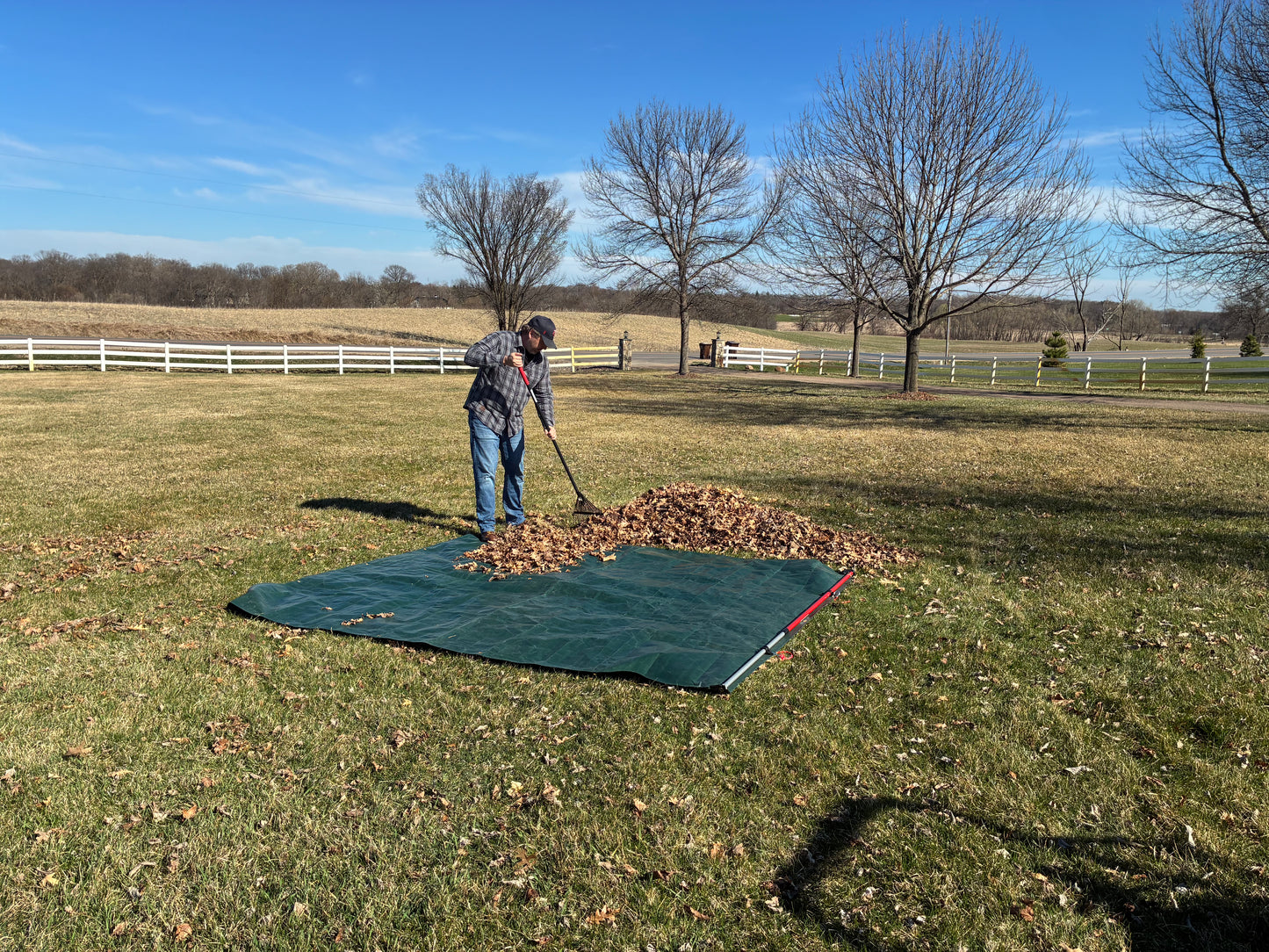 Leaf Thief with Tarp